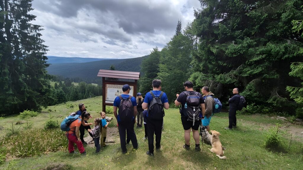 Investing Calea Partizanilor Investitii in natura hiking
